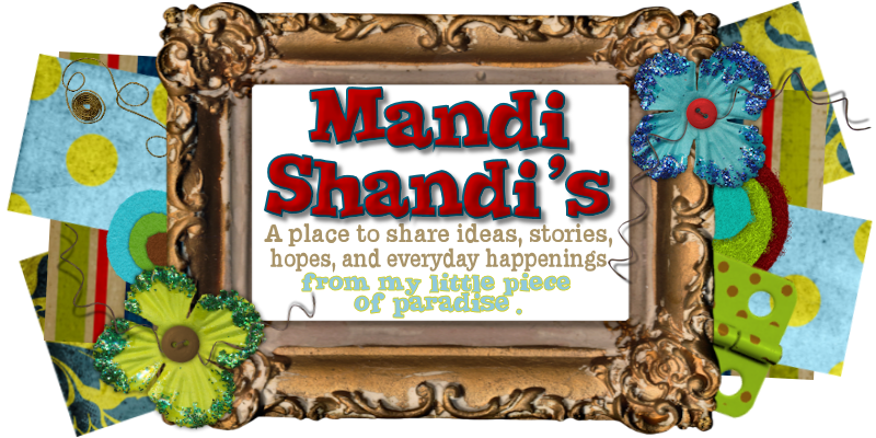 Mandi Shandi's