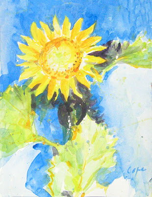watercolour of a sunflower on a blue background