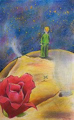 LE STELLE SONO BELLE PER UN FIORE CHE NON SI VEDE