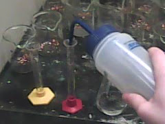 We diluted the solution with 10ml of de-ionized water