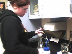 preparing the filtration system