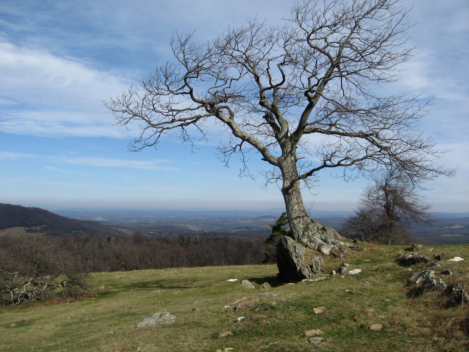 greenmon-s-folly-rock-castle-gorge-hike