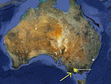 First Area