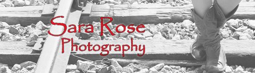 Sara Rose Photography