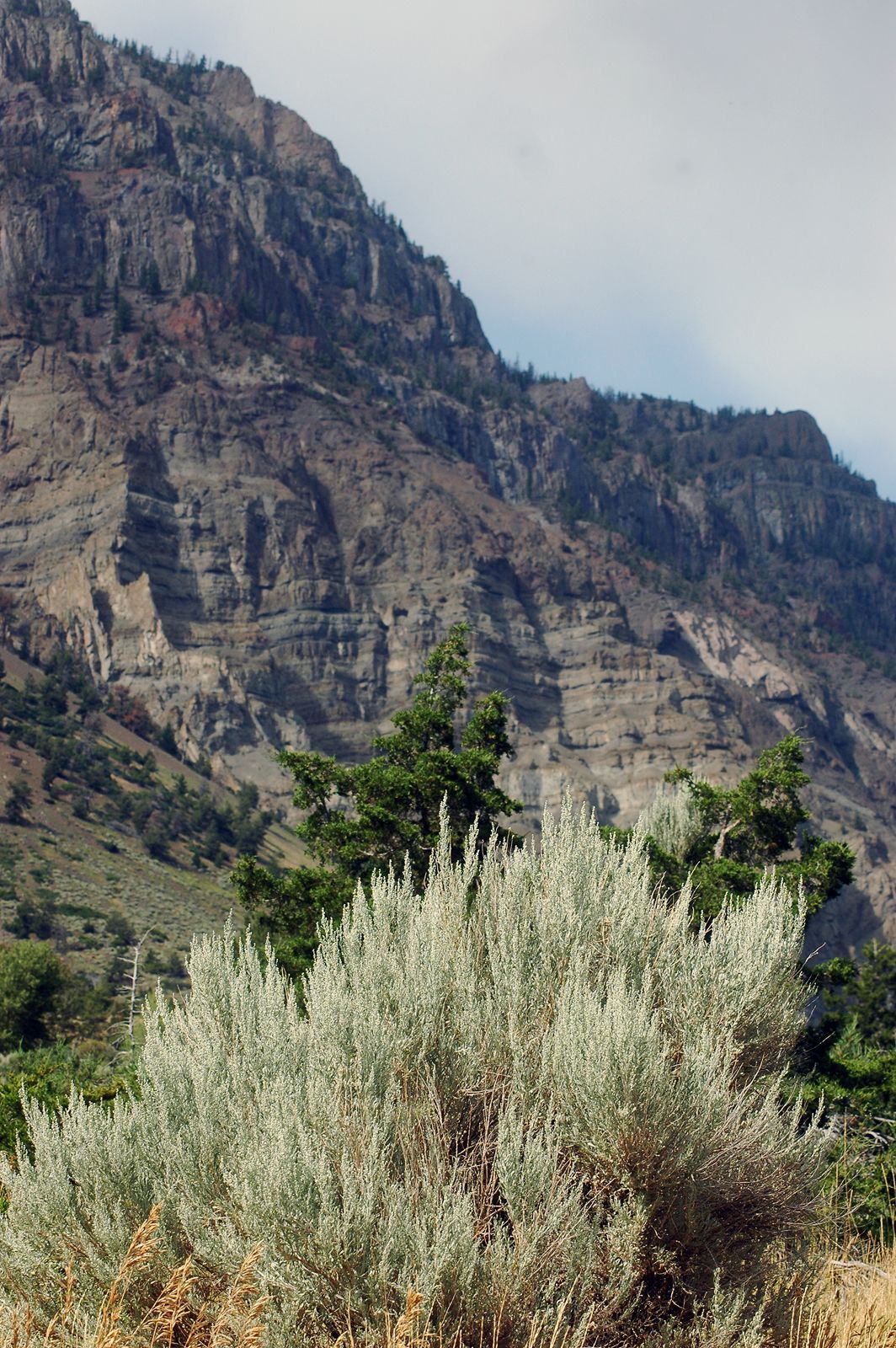 Happy Trails South Fork Road, Cody WY