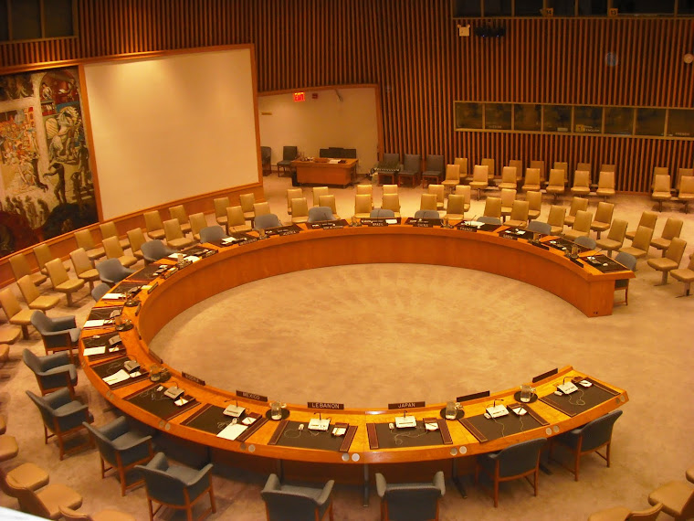 UN Security Council, December 2010