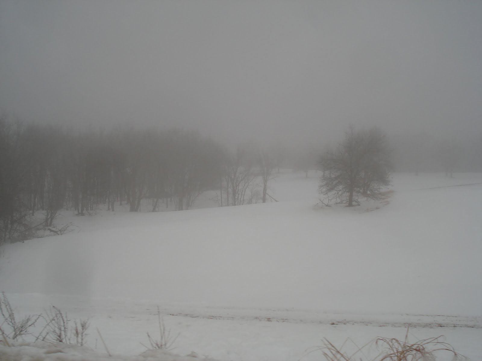 The road more...or less traveled Nebraska Winter