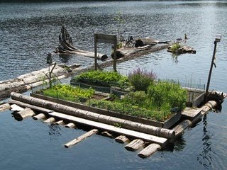 [IMG_6672.JPG]