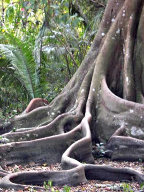 [IMG_1097-lo-res.jpg]