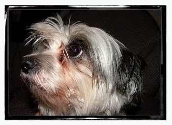 I Miss My Sophie