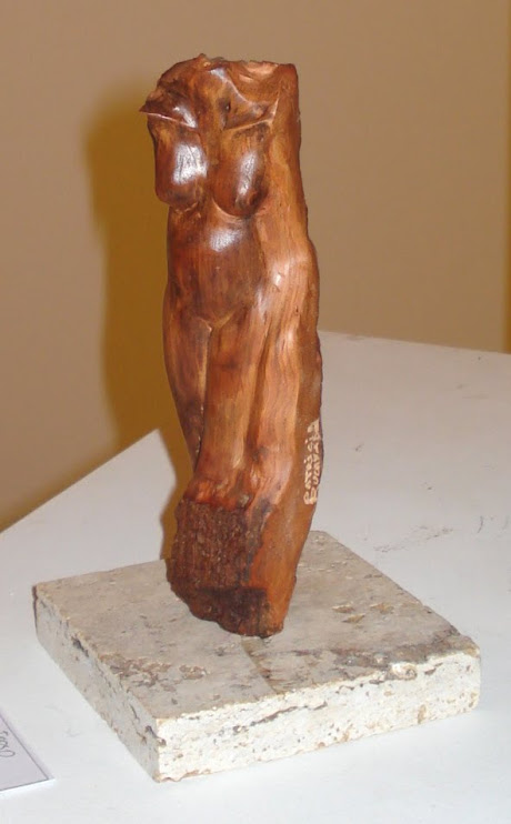 Torso