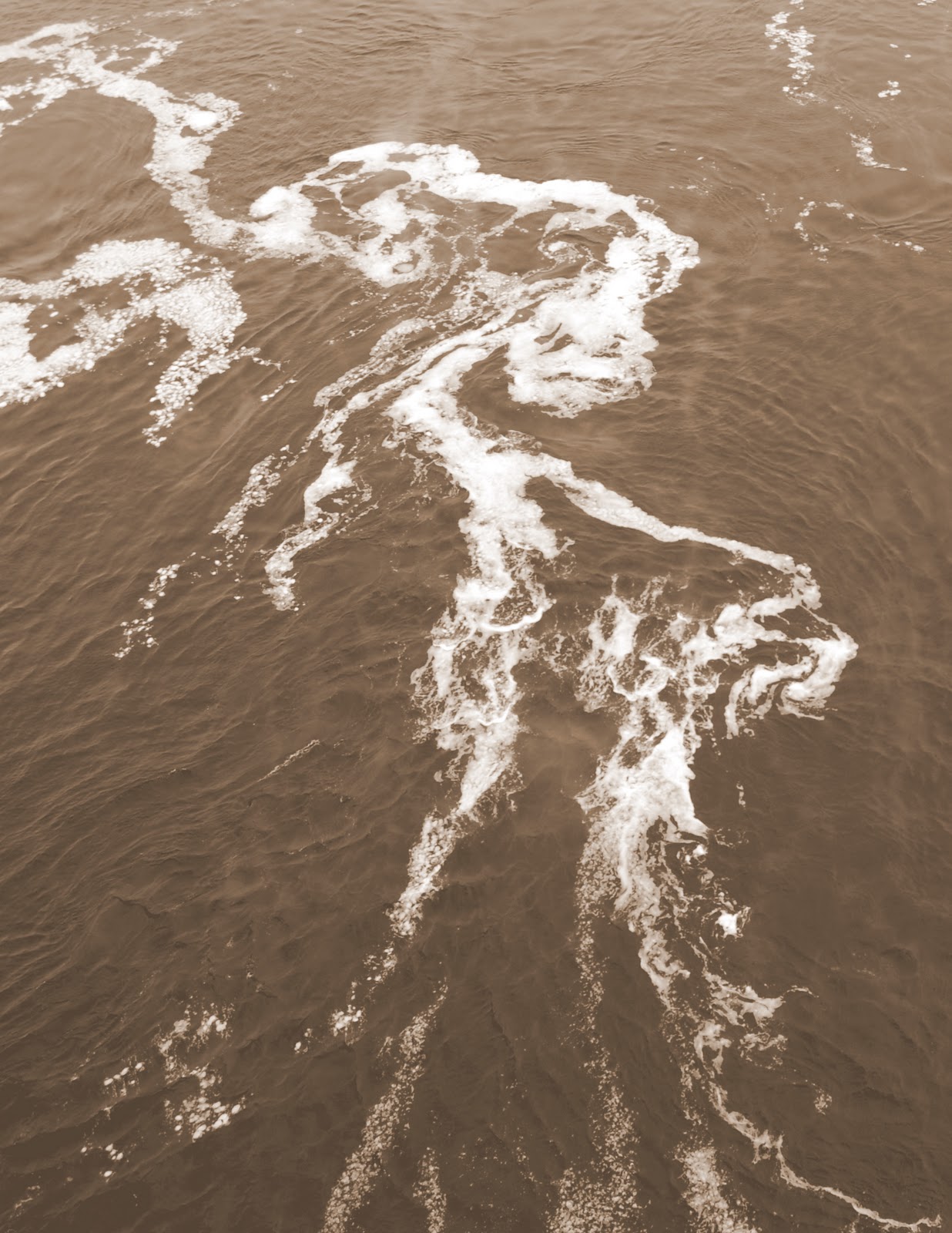 Savoring Servant The mighty COLD Mississippi!