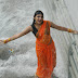 Monica Hot and Wet Exposing in Orange Saree!!