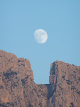 La Luna y el Puig duermen juntos
