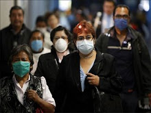 La Gripe A ha llegado de sorpresa