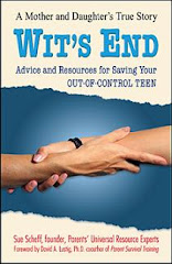 Wit's End Book - A Parent's True Story