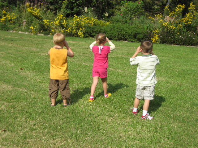 [Ft.+Worth+Botanic+Gardens+002.jpg]