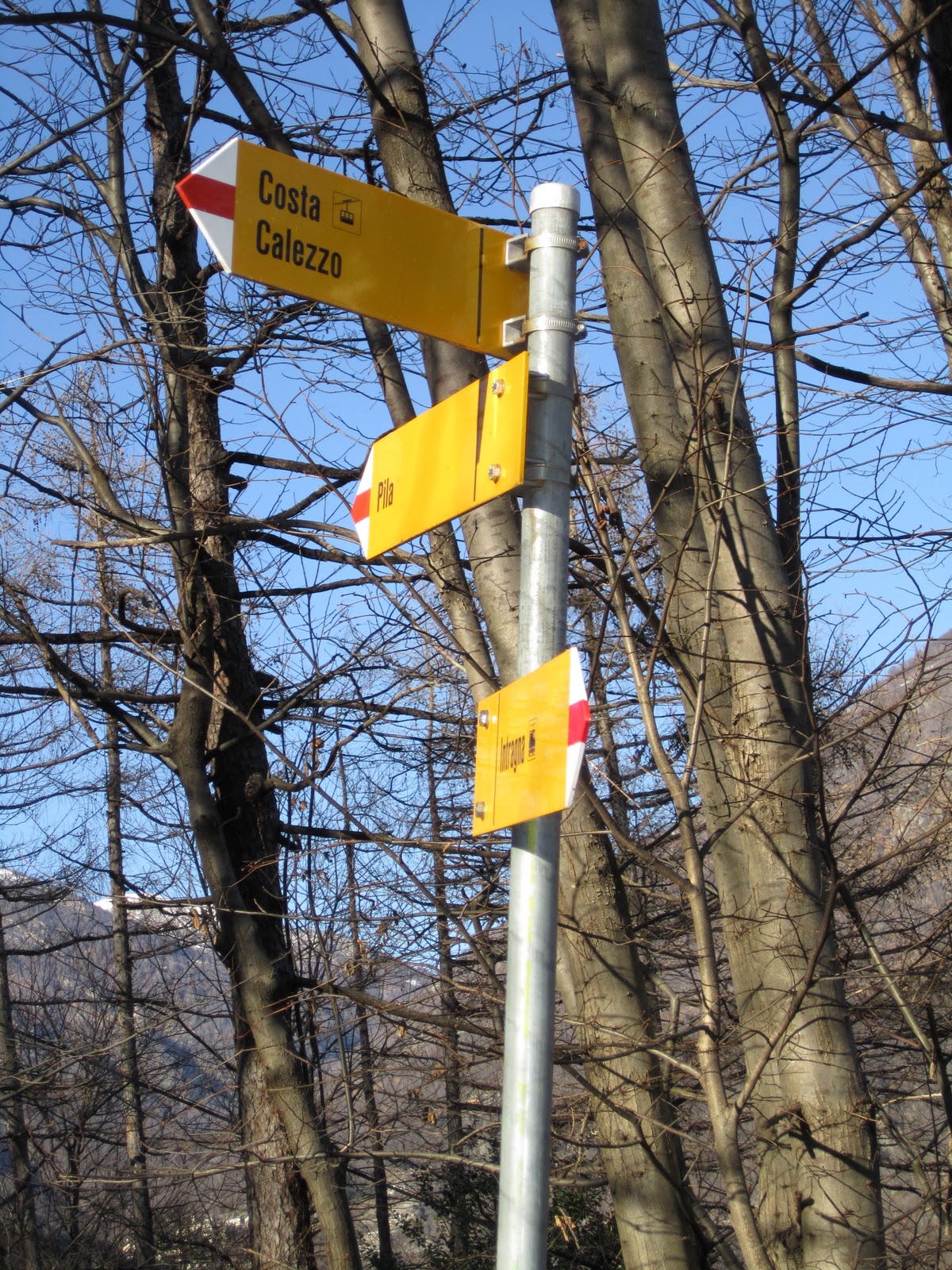 Particle Particulars - Vivian`s Fulbright Blog: January 2011