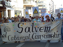 Salvemos el Cabanyal