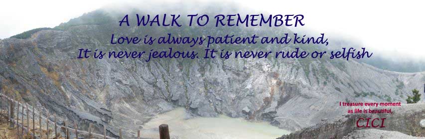 A Walk to Remember