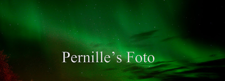 Pernille's Fotoblogg