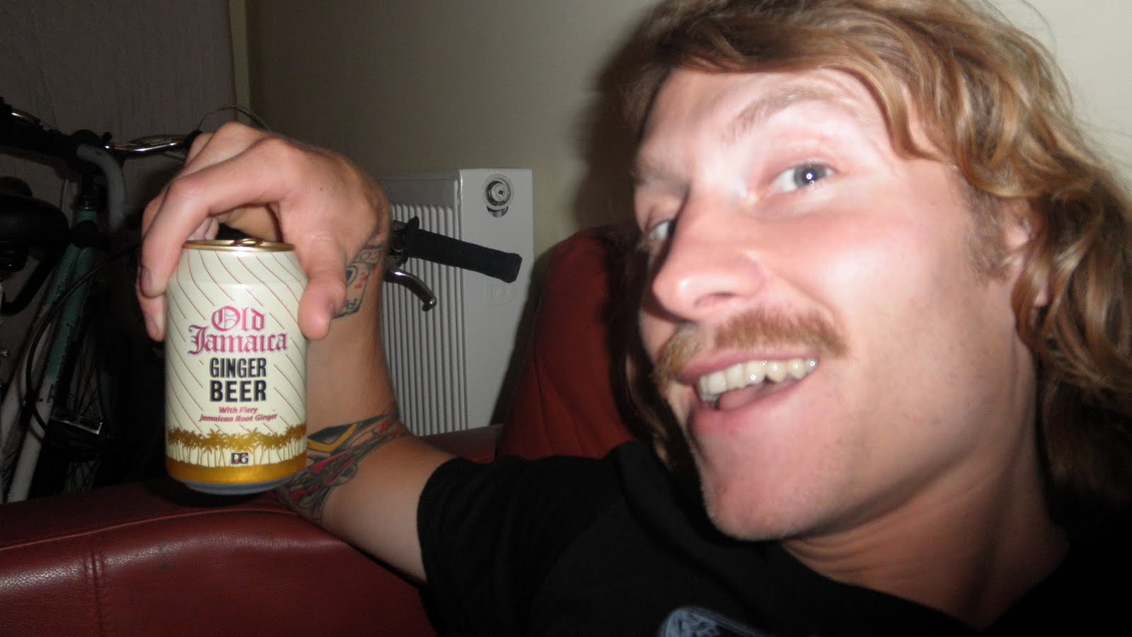 Glad Nomad Ginger Beer vs Root Beer