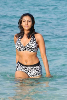 Kausha  Actress Sexy Photos