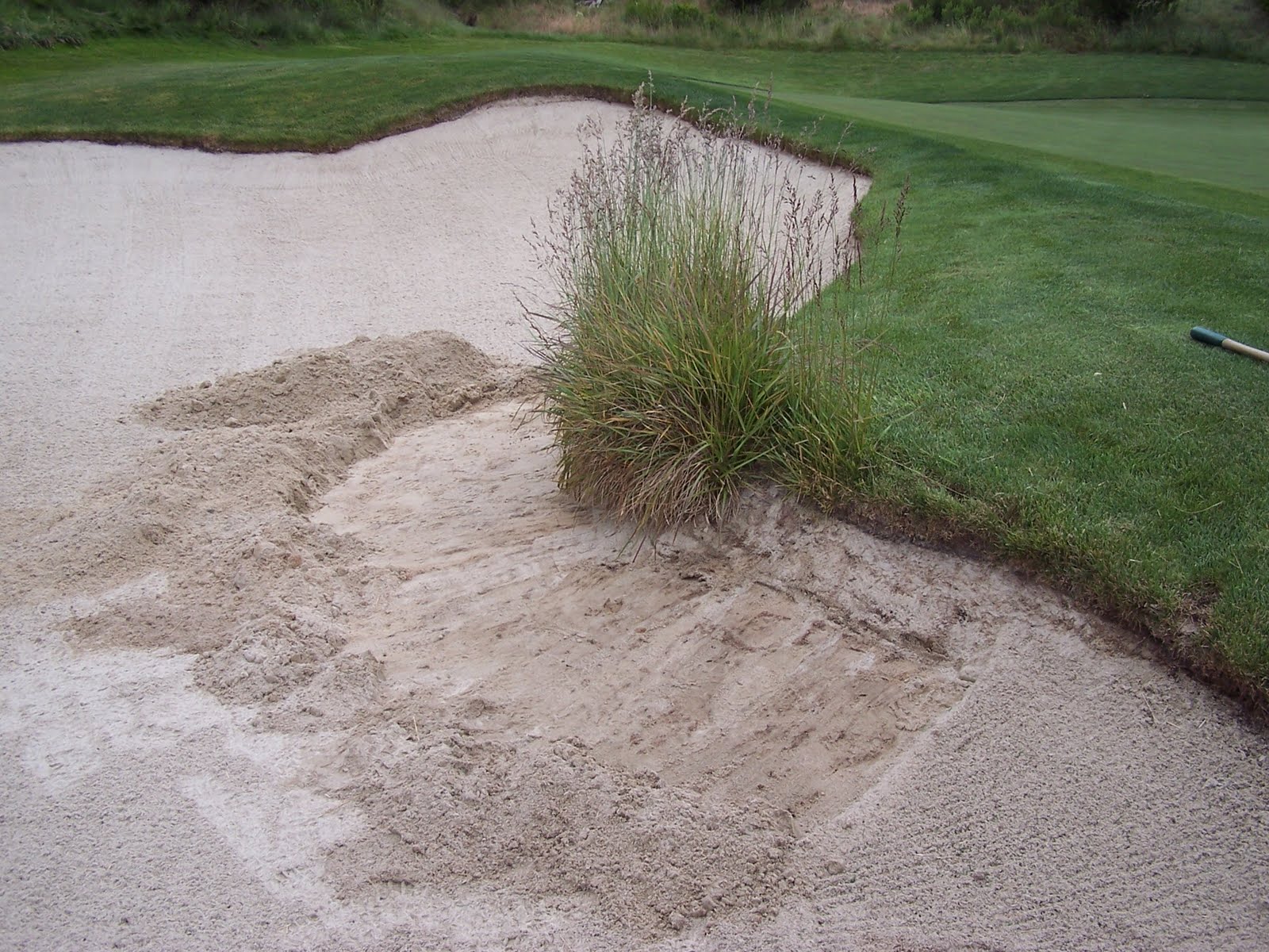 Santa Lucia Preserve Small Ornamental Grass Removal Project