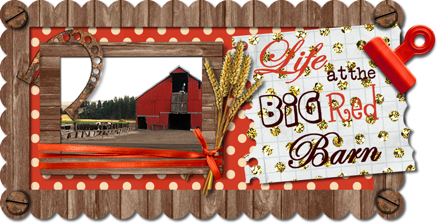 Life at the Big Red Barn