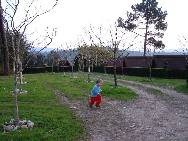 [2003_0304_190539AA.JPG]