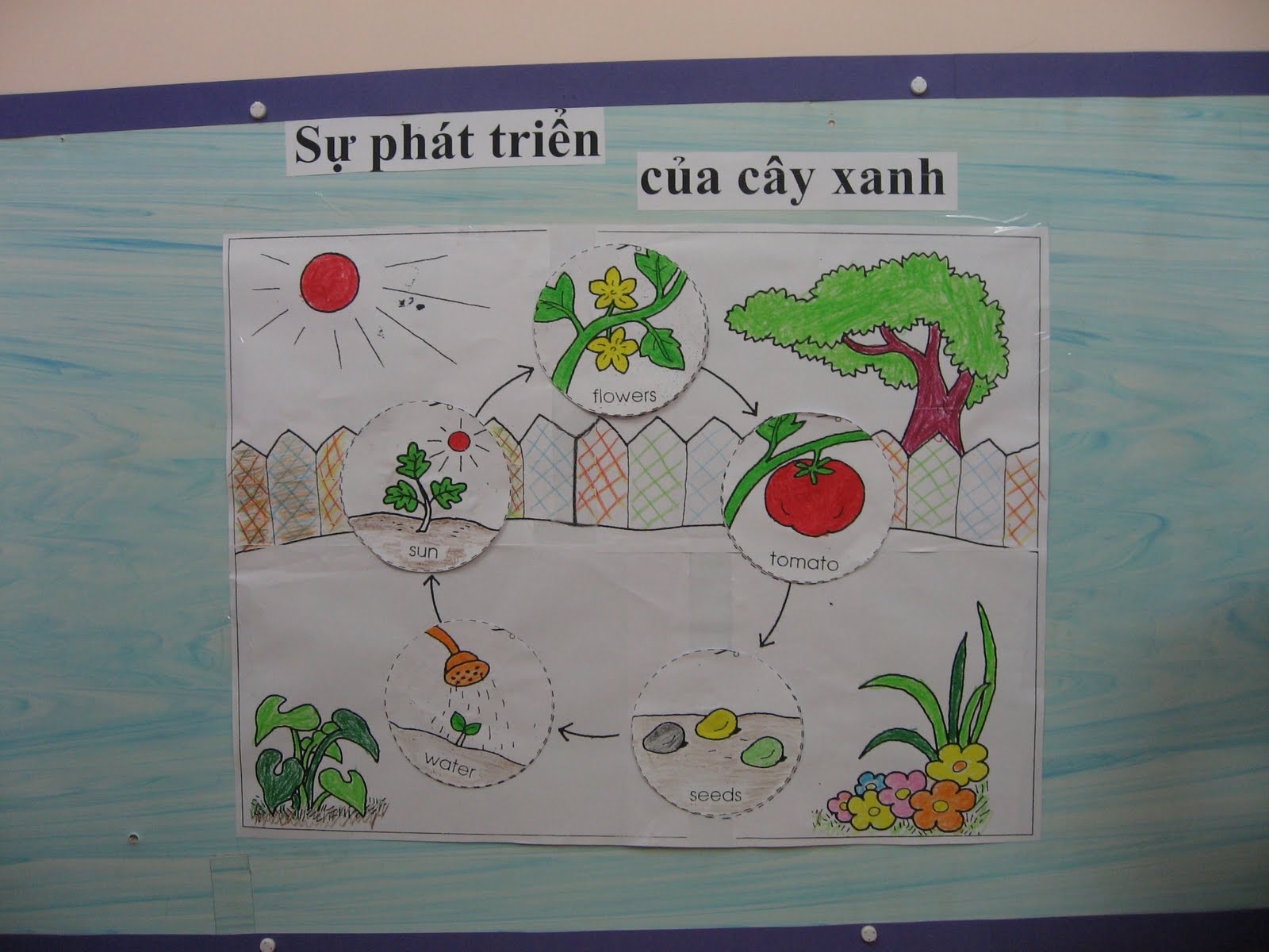 Nursery - B: Bé tập trồng cây