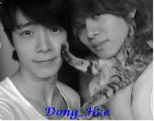 Donghae dan Heechul