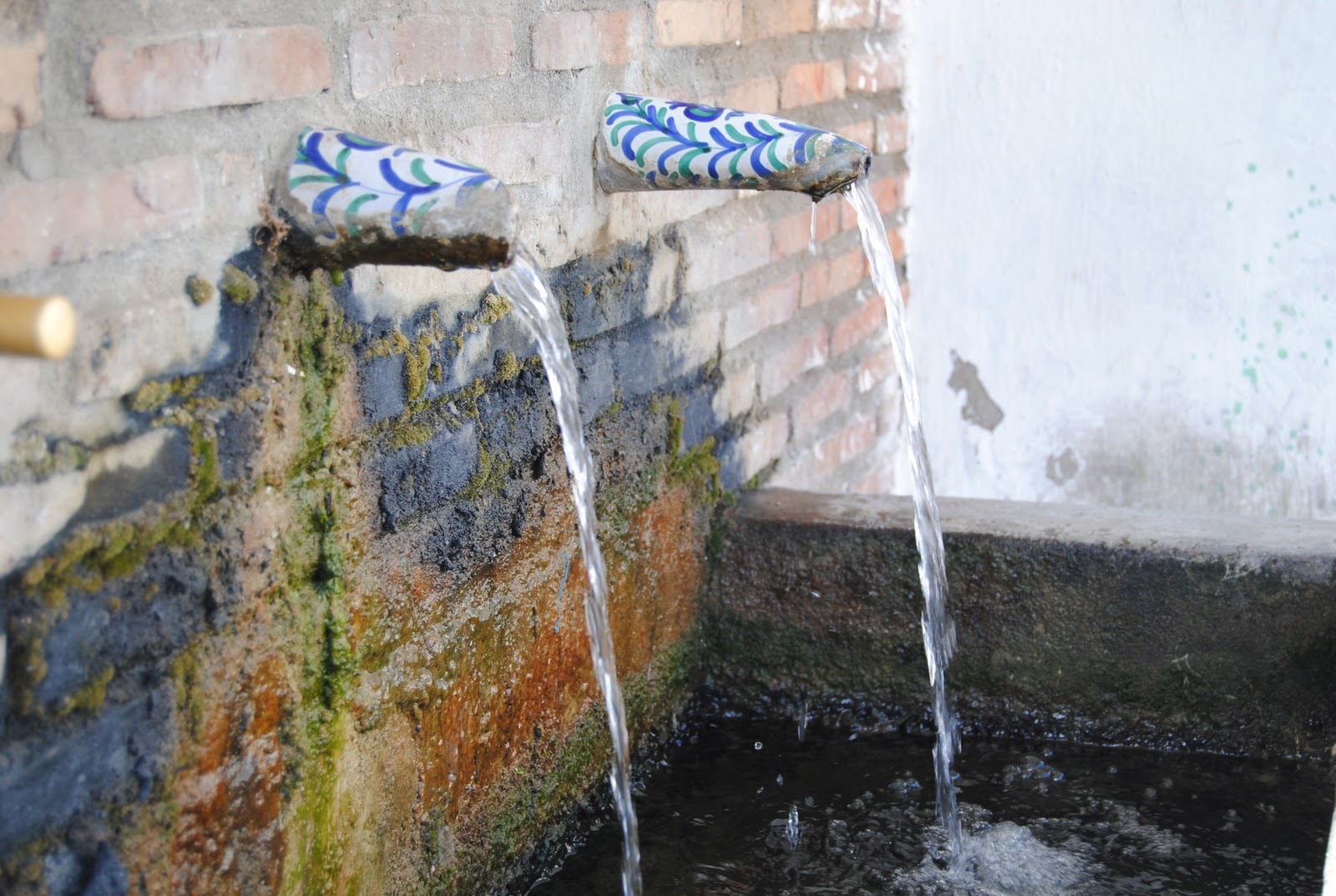 Supervivencia ef: Rubite