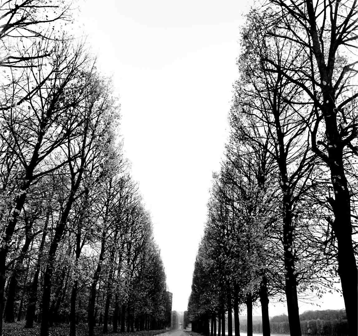 [image7.jpg]