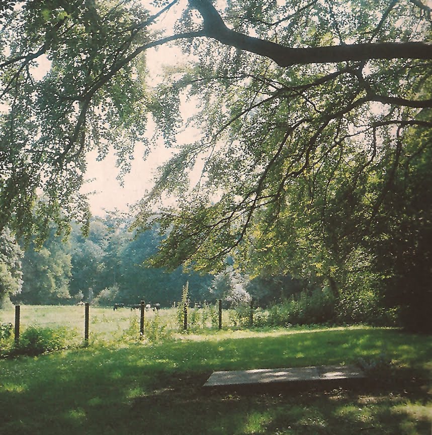 [sc008468ef.jpg]