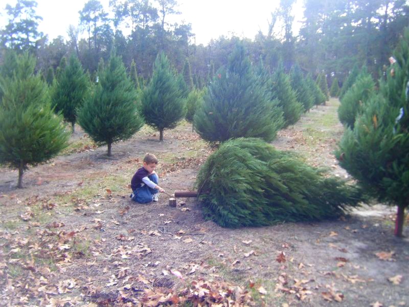Our Scott Spot Christmas Tree Farm