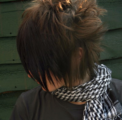 Emo hair style for emo guys.