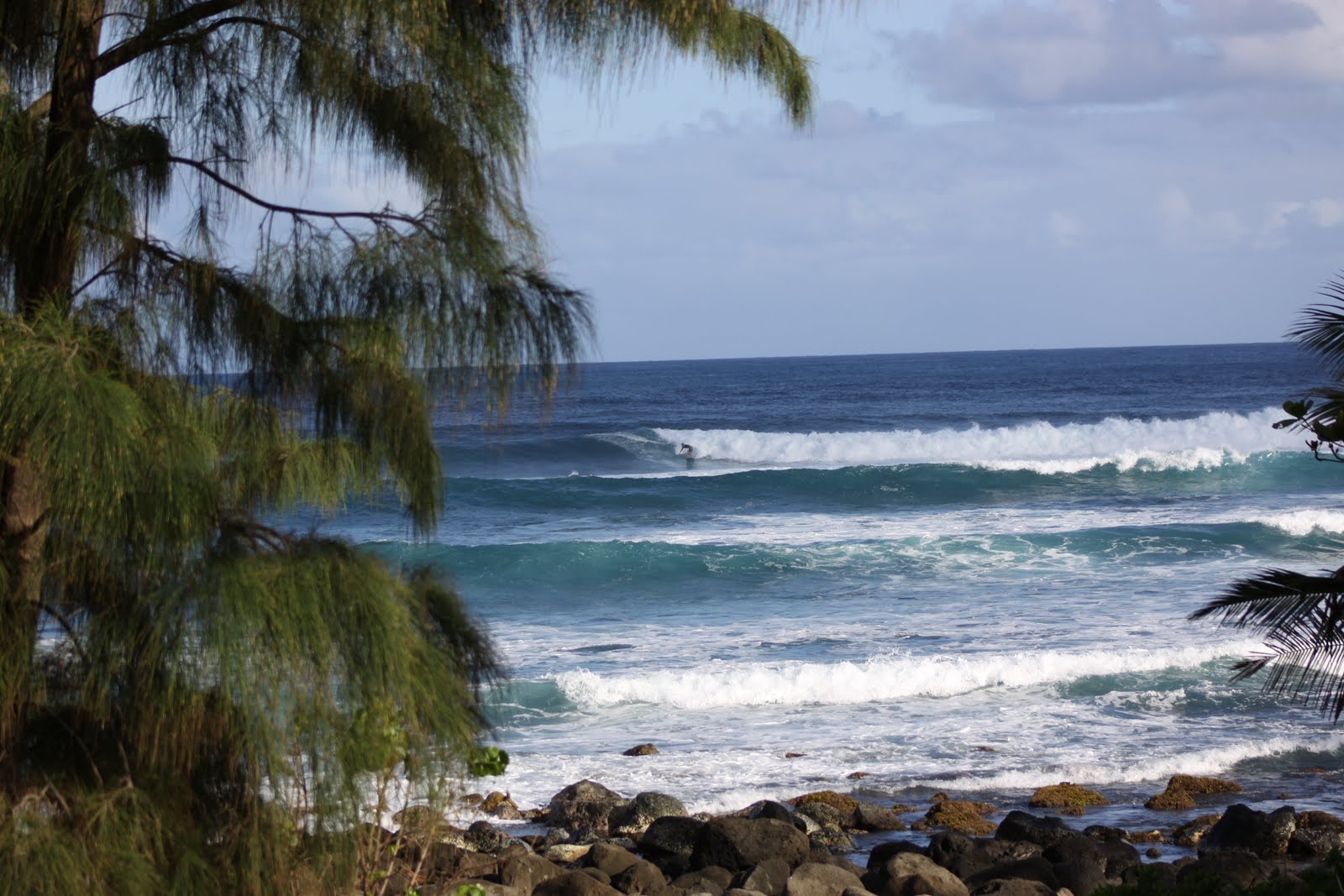 Oficina do Surf Hawaii Oahu Aligator Rock e Leftovers 28032010
