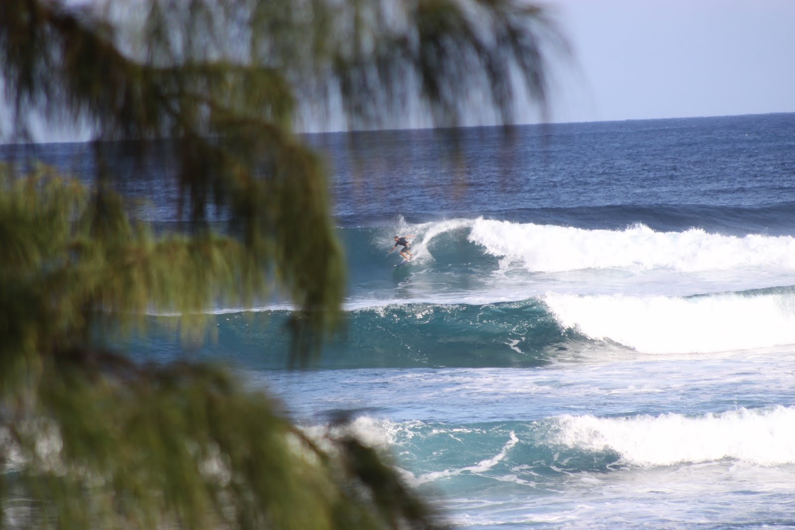 Oficina do Surf Hawaii Oahu Aligator Rock e Leftovers 28032010