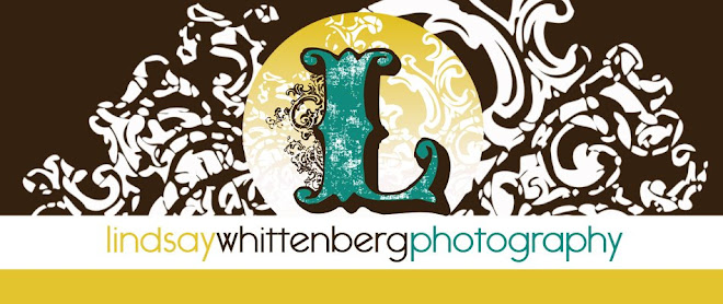 Lindsay Whittenberg Photography