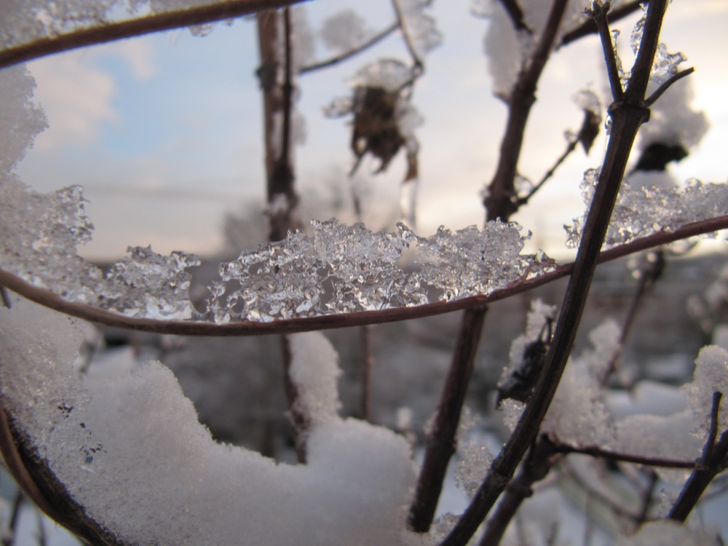 Urlaub: Winter im Land