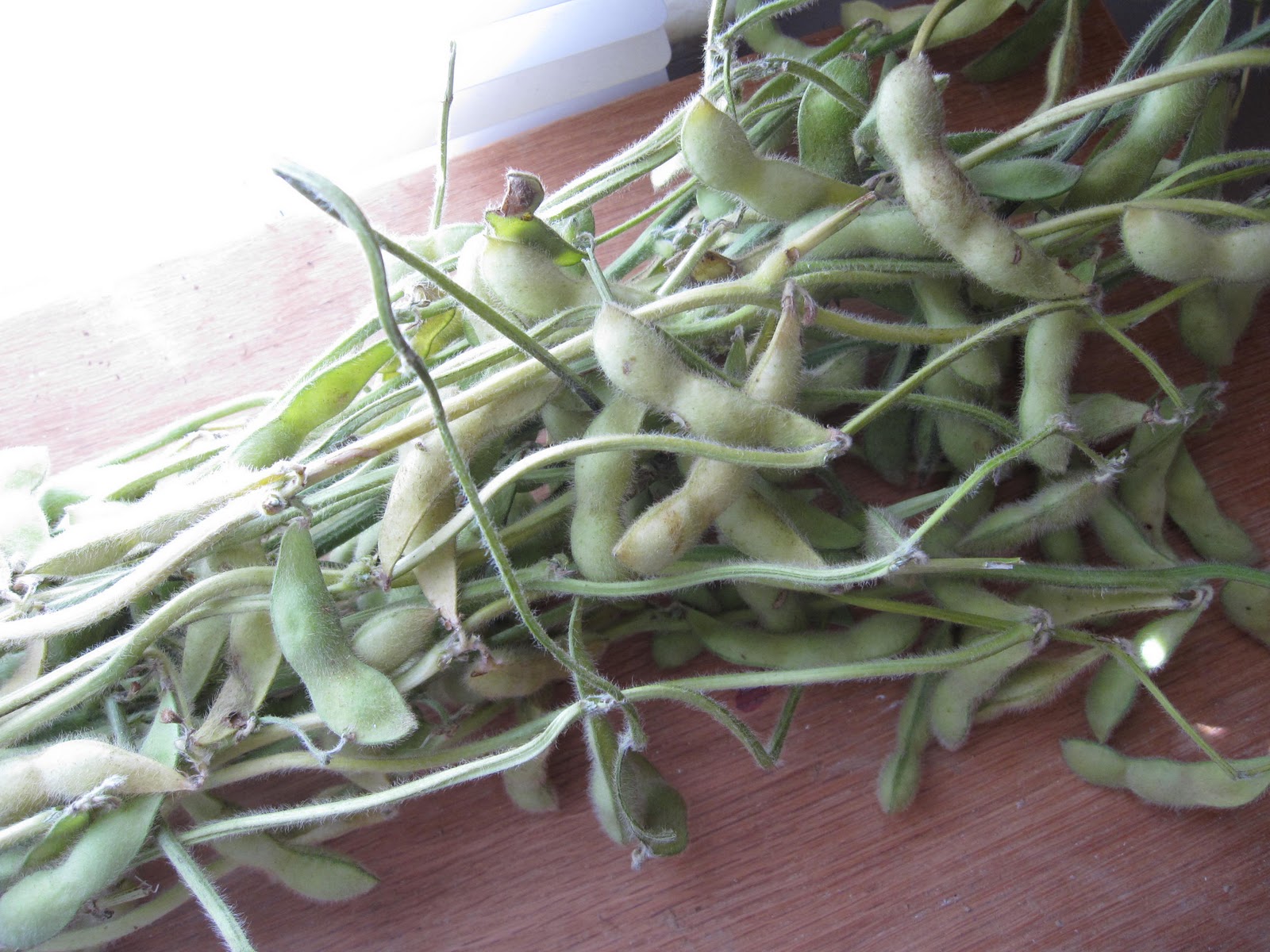 The Scratch Patch Fresh Edamame