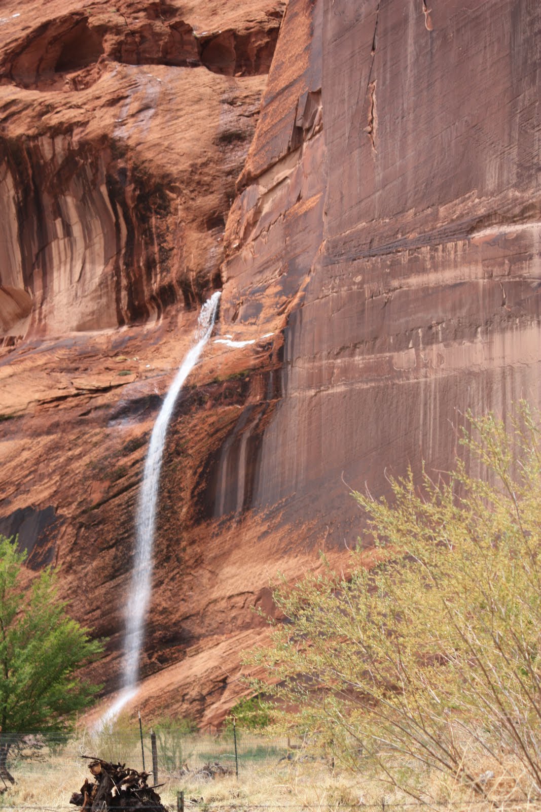 Brevity is the Soul of Witlessness