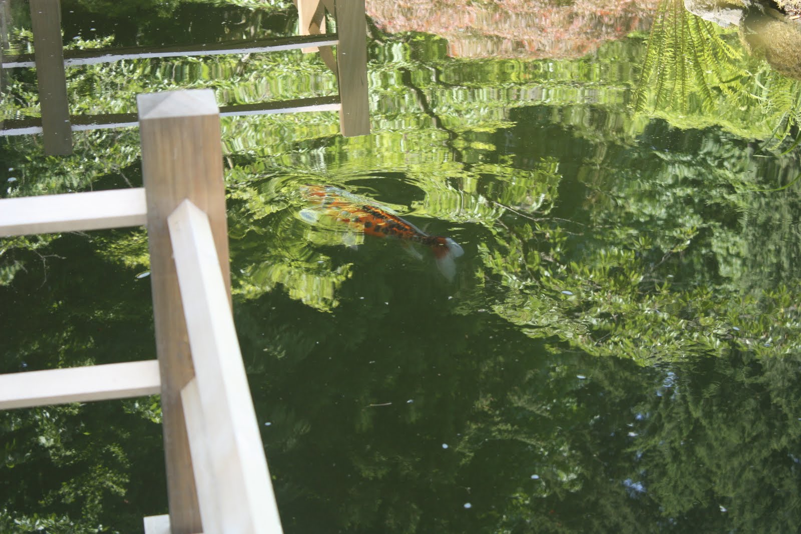 Brevity is the Soul of Witlessness