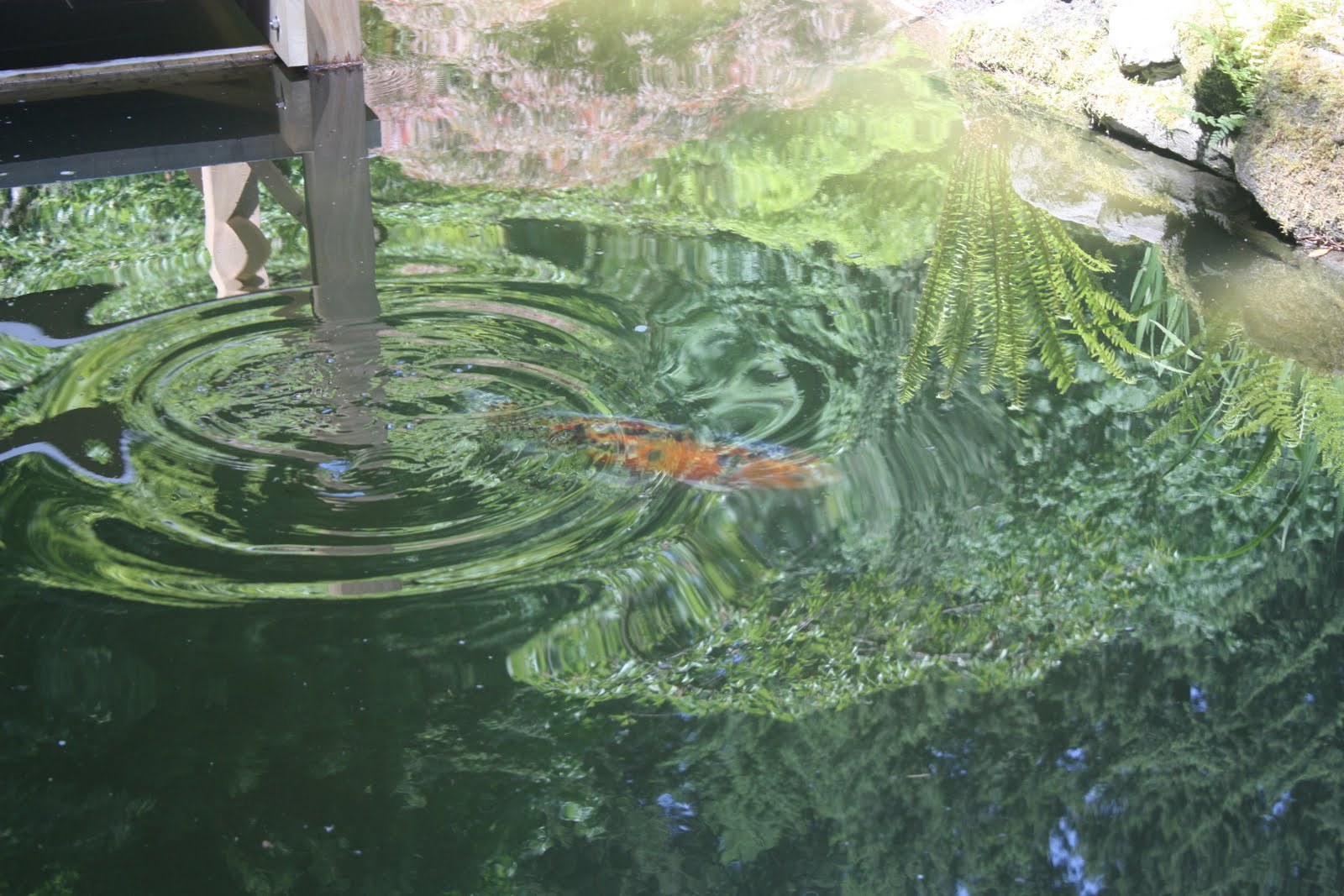 Brevity is the Soul of Witlessness