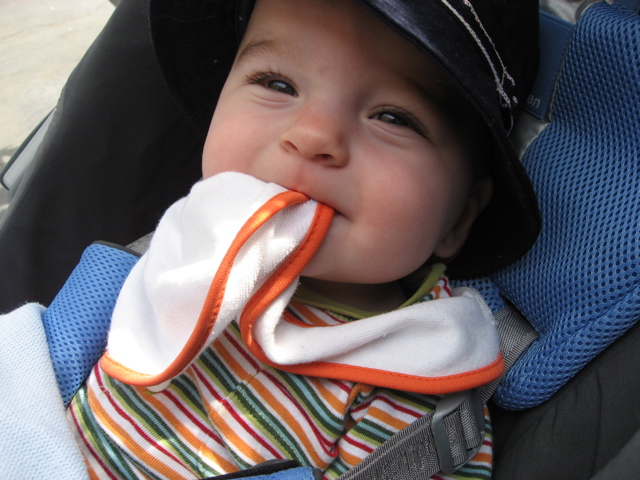 [teething.jpg]