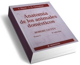 anatomia animales domesticos sisson anatomia animales domesticos sisson