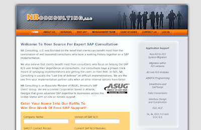 NB Consulting - the SAP Experts