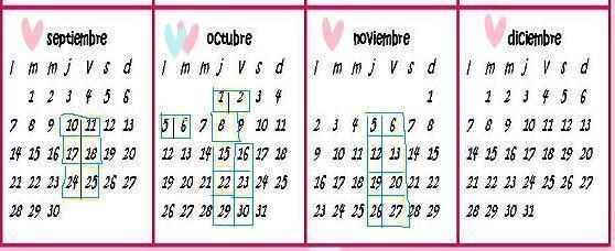 CALENDARI DE PRÀCTIQUES