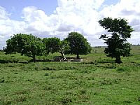 Campos de São João Batista